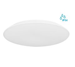 Vodoodporna stropna ali stenska LED luč / IP54, 12W, 840lm, 4000K, 230V